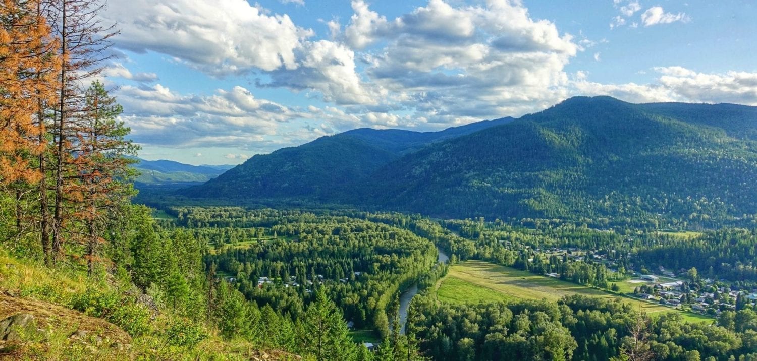 Delaurentiis Bluffs Lookout trail