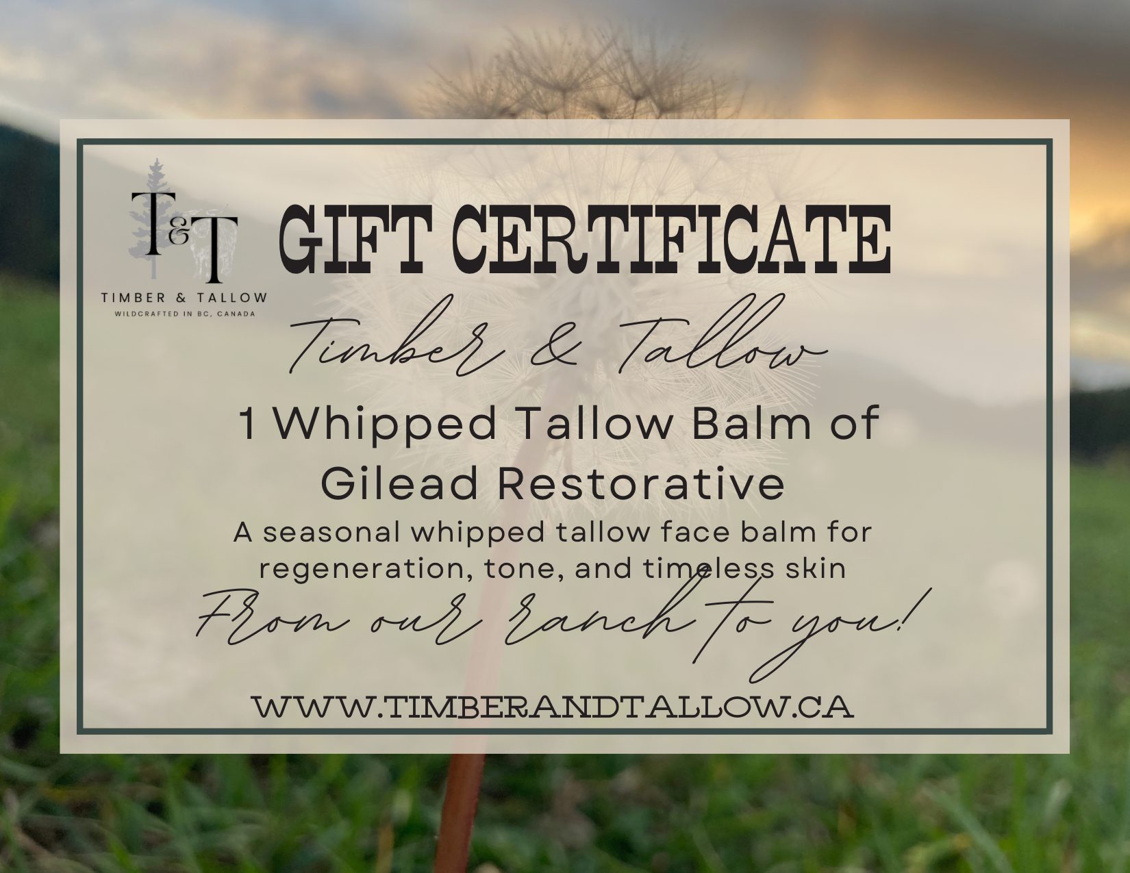 Tallow Balm